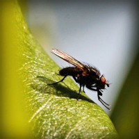 /album/tanglinisom/photolia-a04-jpg/