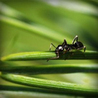 /album/tanglinisom/photolia-a05-jpg/