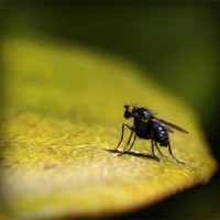 /album/tanglinisom/photolia-a07-jpg/